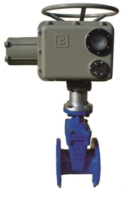 Задвижка с обрезиненным клином фланцевая ABRA с электроприводом Regada В Набережных Челнах